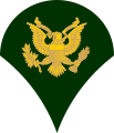 Army Specialist E-4